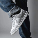 Nike Dunk Low Retro Grigio Bianco DD1391 103 • AXJN Alexanderjohn.it